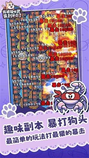 我被猫咪武装到牙齿了1