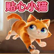 猫猫大冒险无限金币破解版