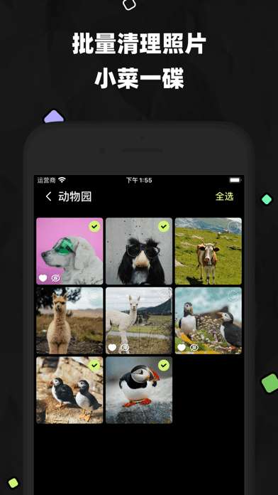 空空相册app2
