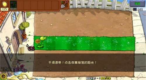 植物大战僵尸杂交重置版4