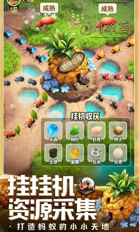 小小蚁国(极速发育版)4