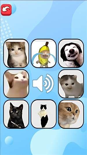 猫meme考试3