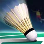 real badminton国际服手机版