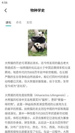 熊猫刷刷安卓版app1