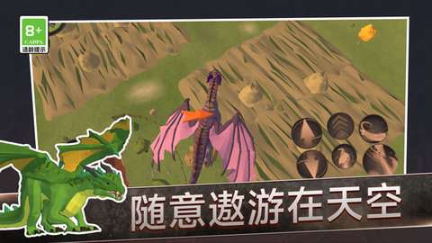 红龙模拟器破解版无限金币2