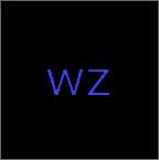 wz定制1.36弱网
