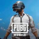 pubg国际服官方正版