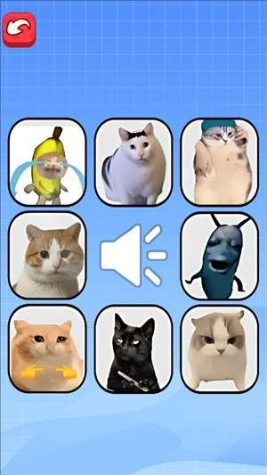 猫meme考试2