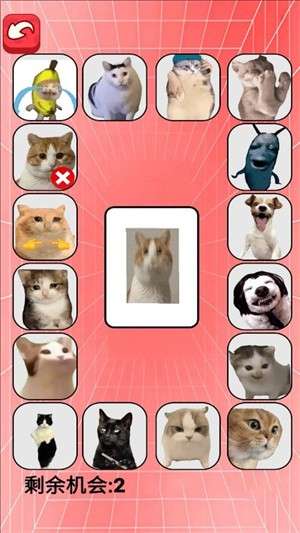 猫meme考试1
