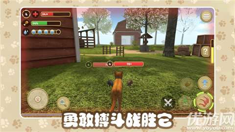 猫咪农场官方正版1