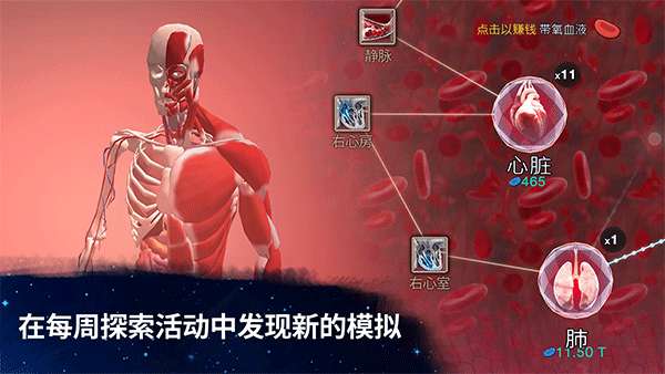 从细胞到奇点官方正版20254