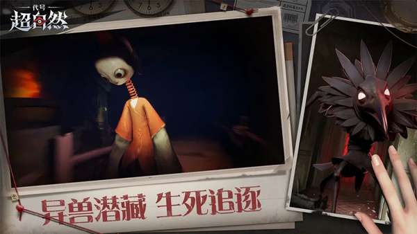 代号超自然正版1