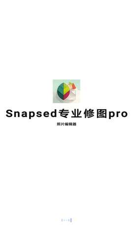 Snapsed专业修图官方版2