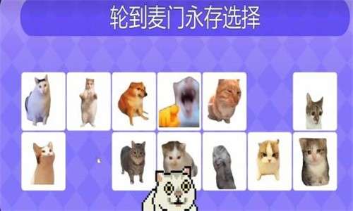 Meme的毒药3