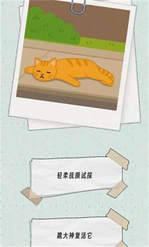 种出一朵小红花2