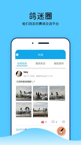 中鸽网app官方安卓版1
