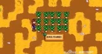 星露谷物语怎么解锁温室