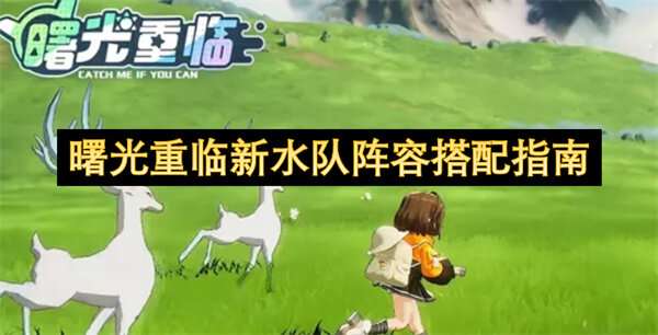 曙光重临新水队阵容搭配指南