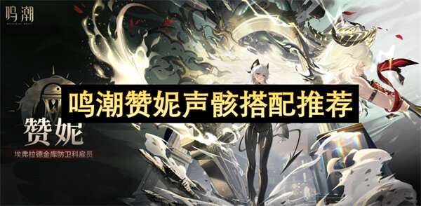 鸣潮赞妮声骸搭配推荐