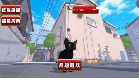 猫猫游乐园游戏正版3