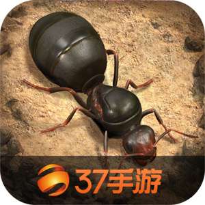 小小蚁国37官网版