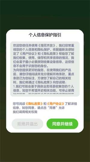 摆花齐放1