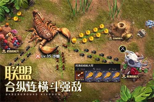 小小蚁国37官网版1