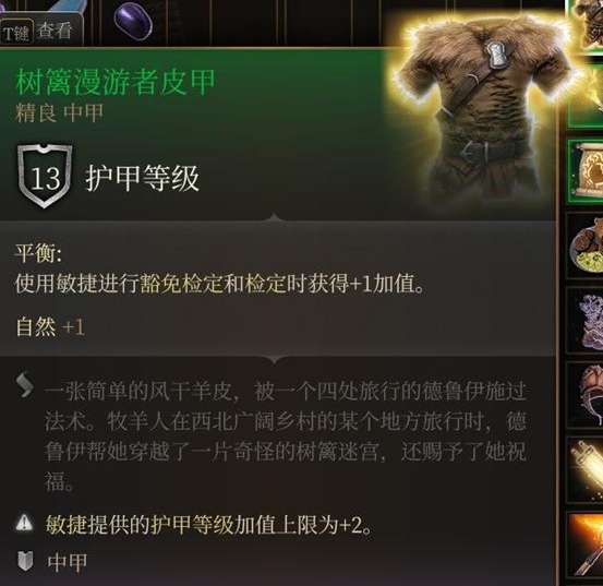 博德之门3树篱漫游者皮甲怎么获得