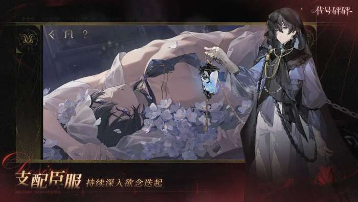 代号砰砰2