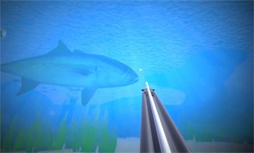 潜渔猎手(Spearfishing Simulator)4