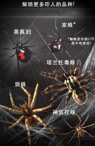 蜘蛛恶作剧-快手手机屏幕蜘蛛3