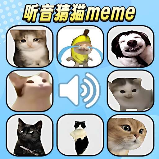 猫meme考试