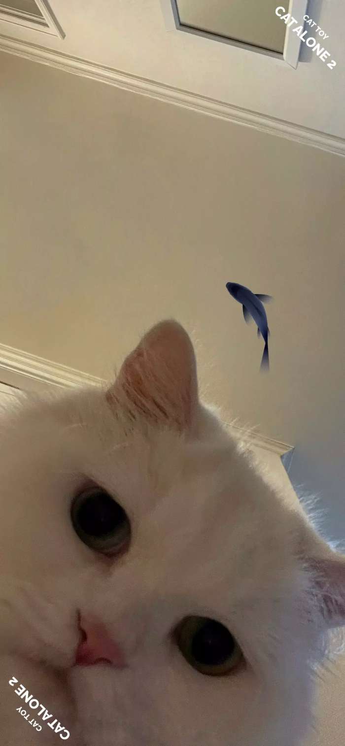 猫屿孤航2(CatAlone2)4