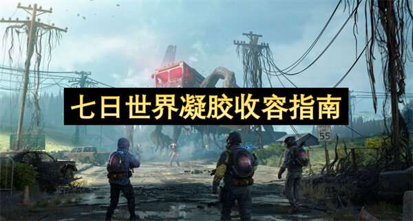 七日世界凝胶收容指南