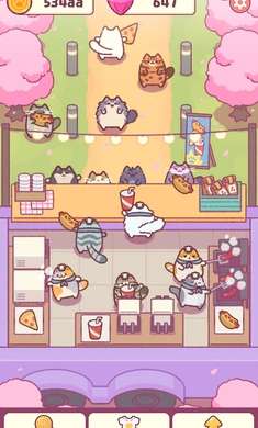 猫咪小吃店4