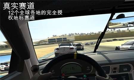 realracing3中文版4
