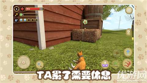 猫咪农场官方正版3