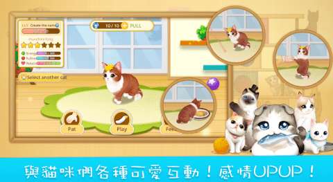 line猫咪咖啡厅3