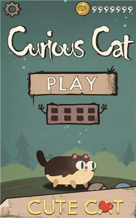 CuriousCat2