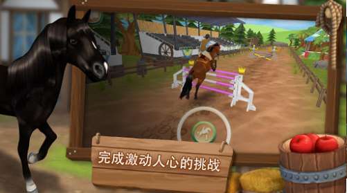 HorseHotel2