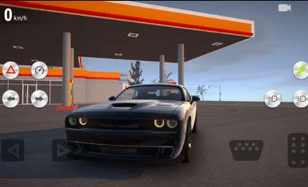 Real Driving School1