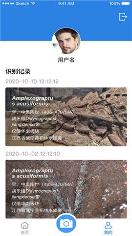AIFossil化石识别4