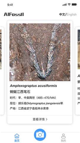 AIFossil化石识别3