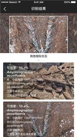 AIFossil化石识别1