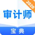 审计师宝典