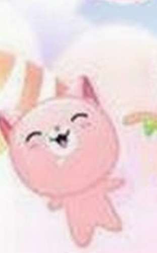 狂热的小猫3