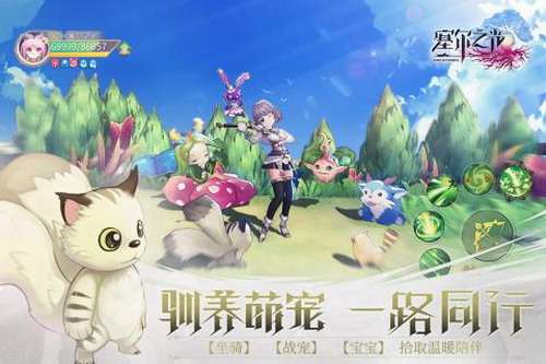 塞尔之光2