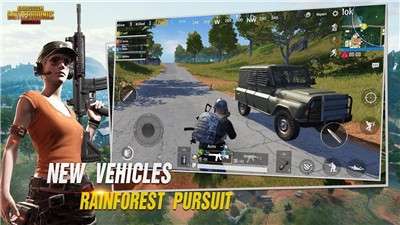 Battlegrounds Mobile India国际服3